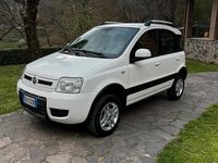 Usata Fiat Panda 4x4 2010 Utilitaria