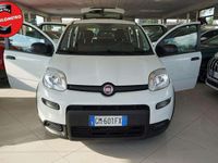 Usata Fiat Panda S 69 CV (50 kW) 2023 Bianco Utilitaria