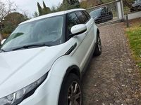 Usata Land Rover Range Rover evoque 2011 Bianco SUV
