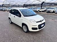 Usata Fiat Panda Easy 69 CV (50 kW) 2020 Bianco Utilitaria
