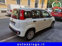 Usata Fiat Panda Easy 95 CV (69 kW) 2016 Bianco Utilitaria