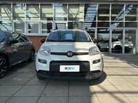 Usata Fiat Panda City Life 70 CV (51 kW) 2022 Bianco Utilitaria