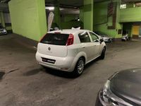 usata Fiat Punto 1.2 8V 5 porte Neopatentati