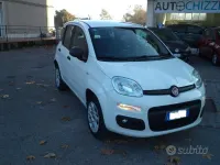 Usata Fiat Panda Lounge 70 CV (51 kW) 2019 Bianco Utilitaria