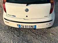 Usata Fiat Punto 2005 Bianco Utilitaria