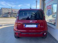 Usata Fiat Panda S 69 CV (50 kW) 2024 Rosso Utilitaria