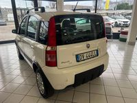 Usata Fiat Panda 4x4 Climbing 59 CV (43 kW) 2009 Bianco Utilitaria