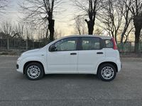 usata Fiat Panda 1.2 69CV E6 EASY