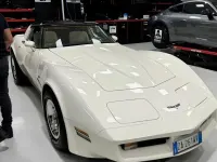 Usata Corvette Stingray 1980 Bianco Coupé