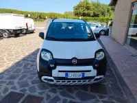 Usata Fiat Panda Cross Cross 70 CV (51 kW) 2022 Bianco Utilitaria