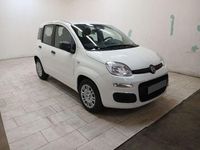 Nuova Fiat Panda Icon 69 CV (50 kW) 2025 Bianco Utilitaria