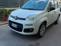 Usata Fiat Panda 85 CV (62 kW) 2018 Bianco Utilitaria