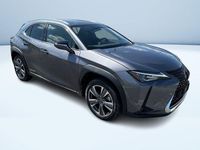 Usata Lexus UX 300e 150 kW (204 CV) 2022 Grigio SUV