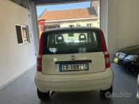 Usata Fiat Panda 4x4 69 CV (50 kW) 2010 Bianco Utilitaria