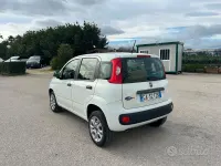 Usata Fiat Panda Easy 71 CV (52 kW) 2020 Bianco Utilitaria