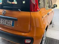 Usata Fiat Panda Lounge 84 CV (61 kW) 2020 Arancione Utilitaria