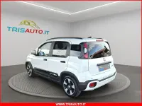 Usata Fiat Panda 71 CV (52 kW) 2025 Bianco Utilitaria