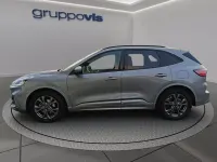 Brugt Ford Kuga ST-Line 120 HK (88 kW) 2022 Sølv SUV