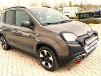 usata Fiat Panda Cross Panda 1.0 firefly hybrid City s