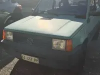 Usata Fiat Panda 4x4 Club 54 CV (39 kW) 1998 Verde Utilitaria