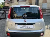 Usata Fiat Panda Easy 69 CV (50 kW) 2016 Argento Utilitaria
