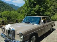Usata Mercedes W108 SE 1960 Grigio Berlina