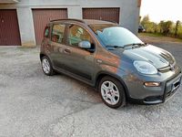 Usata Fiat Panda 2022 Berlina
