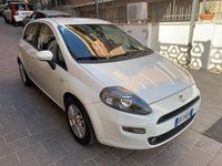 Usata Fiat Punto Lounge 75 CV (55 kW) 2013 Bianco Utilitaria