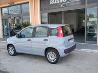 Usata Fiat Panda Easy 69 CV (50 kW) 2020 Grigio Utilitaria
