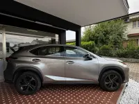 Usata Lexus NX300h Sport Line 197 CV (144 kW) 2021 Grigio SUV