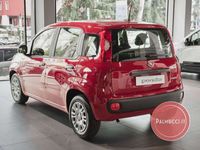 Usata Fiat Panda S 70 CV (51 kW) 2024 Giallo pastello Utilitaria