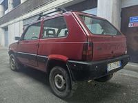 Usata Fiat Panda 4x4 Trekking 54 CV (39 kW) 2002 Rosso Utilitaria