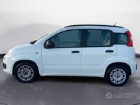 Usata Fiat Panda Easy 75 CV (55 kW) 2014 Bianco Utilitaria
