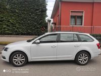 usata Skoda Octavia 3ª serie - 2017 permute