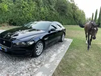 Usata Jaguar XE Business Edition 200 CV (147 kW) 2017 Nero Berlina