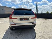 usata Volvo XC60 T8 Twin Engine AWD Geartronic Business Plus