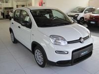 Usata Fiat Panda S 70 CV (51 kW) 2024 Bianco Utilitaria