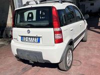 Usata Fiat Panda 4x4 Climbing 75 CV (55 kW) 2011 Utilitaria