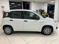 Usata Fiat Panda Easy 95 CV (69 kW) 2017 Bianco Berlina