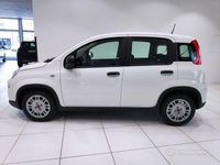 Usata Fiat Panda 70 CV (51 kW) 2024 Bianco Utilitaria