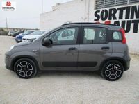 usata Fiat Panda 1.0 FireFly Hybrid City Life-2021 KM65000