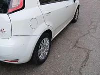 Usata Fiat Punto 75 CV (55 kW) 2014 Bianco Utilitaria