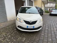 Usata Lancia Ypsilon S 95 CV (69 kW) 2016 Beige Utilitaria