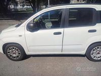 Usata Fiat Panda 2015 Bianco Utilitaria