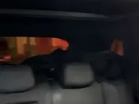 Usata Nissan Qashqai Tekna+ 116 CV (85 kW) 2019 SUV
