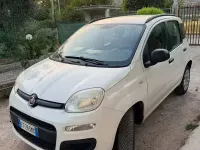 Usata Fiat Panda 85 CV (62 kW) 2013 Bianco Utilitaria