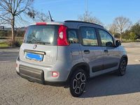 Usata Fiat Panda City Life 69 CV (50 kW) 2020 Grigio Utilitaria