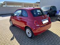 Usata Fiat 500 Lounge 69 CV (50 kW) 2020 Rosso Utilitaria