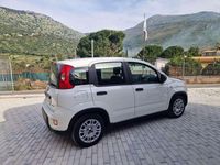Usata Fiat Panda 69 CV (50 kW) 2024 Bianco Utilitaria