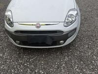 Usata Fiat Punto Active 60 CV (44 kW) 2011 Utilitaria